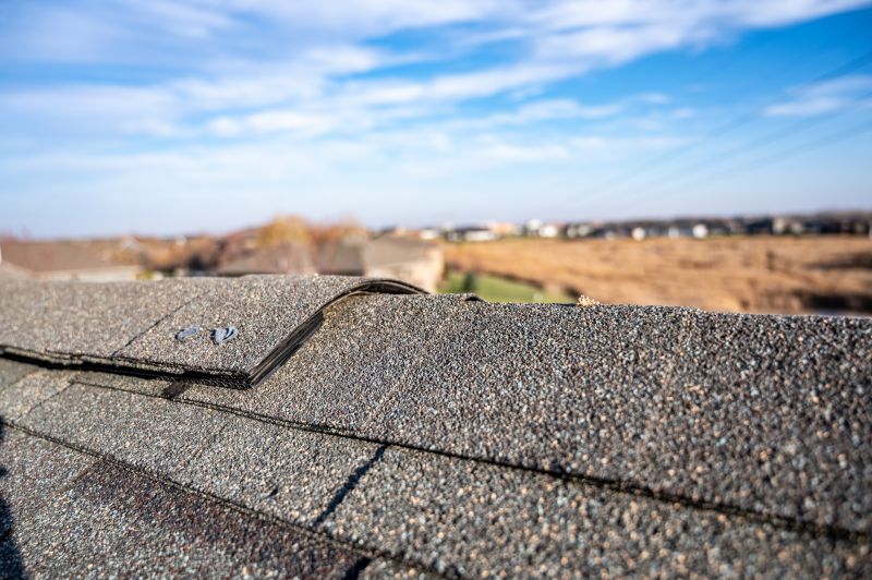 Damaged Roof Repair