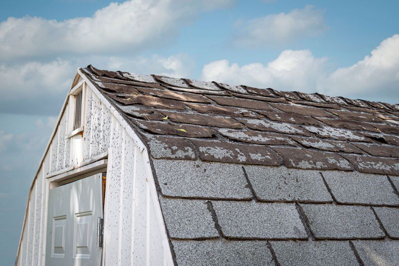 House Roof Repair